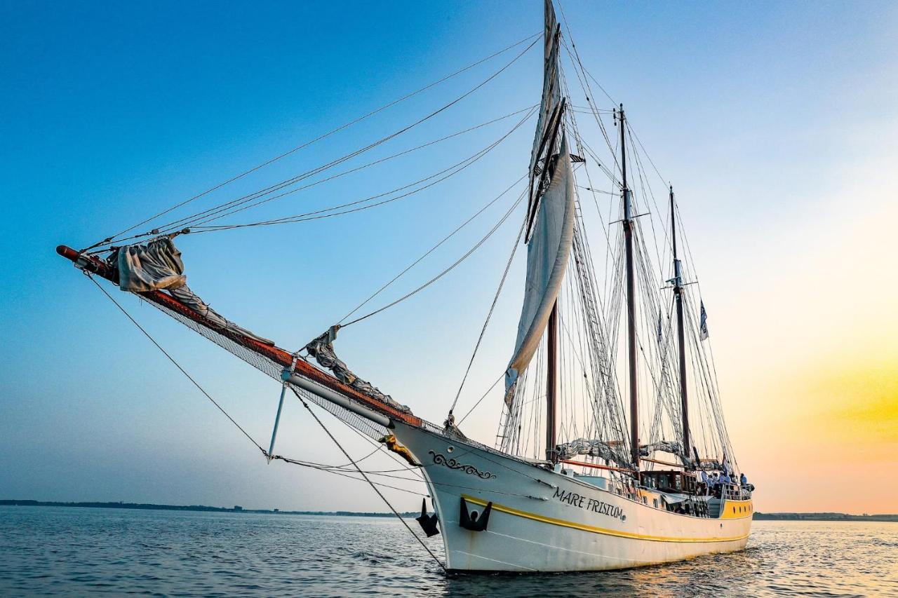 Segelschiff Mare Frisium * Hamburg